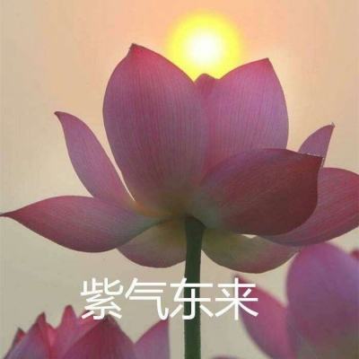 小米西游之路官方版下载
